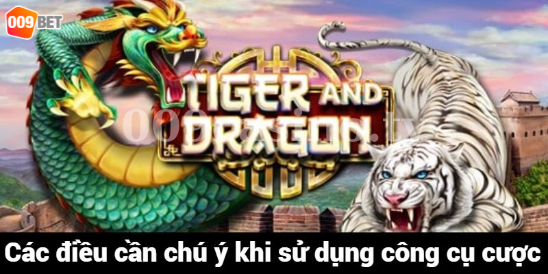 Các điều cần chú ý khi sử dụng công cụ cược