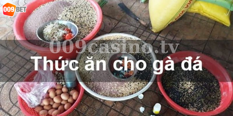 009 Bet - Áp dụng cách tập và chế độ ăn tốt sẽ giúp gà chiến phát triển toàn lực